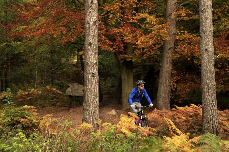 Cyclist