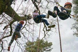 Big Tree Climb at Shugborough