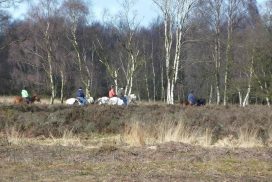 Horse riders over the chase