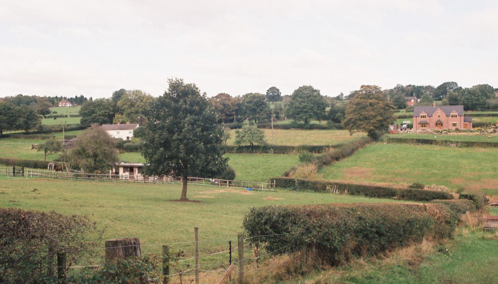 Settled Heathlands