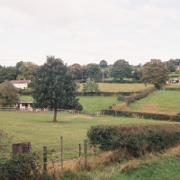 Settled Heathlands