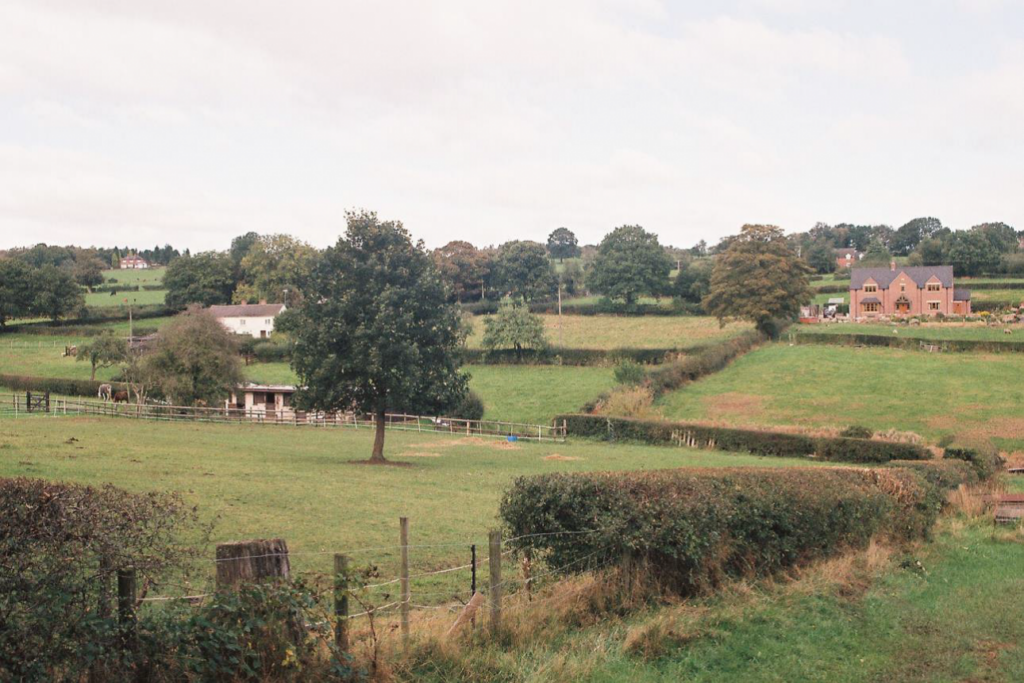 Settled Heathlands