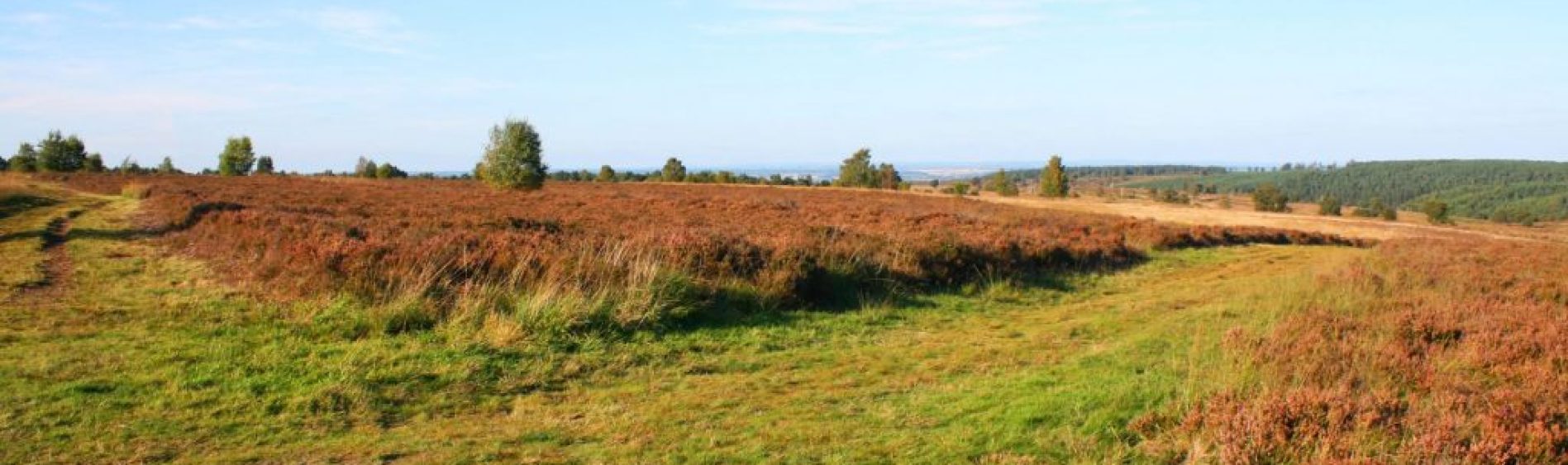 Landscape view of the chase