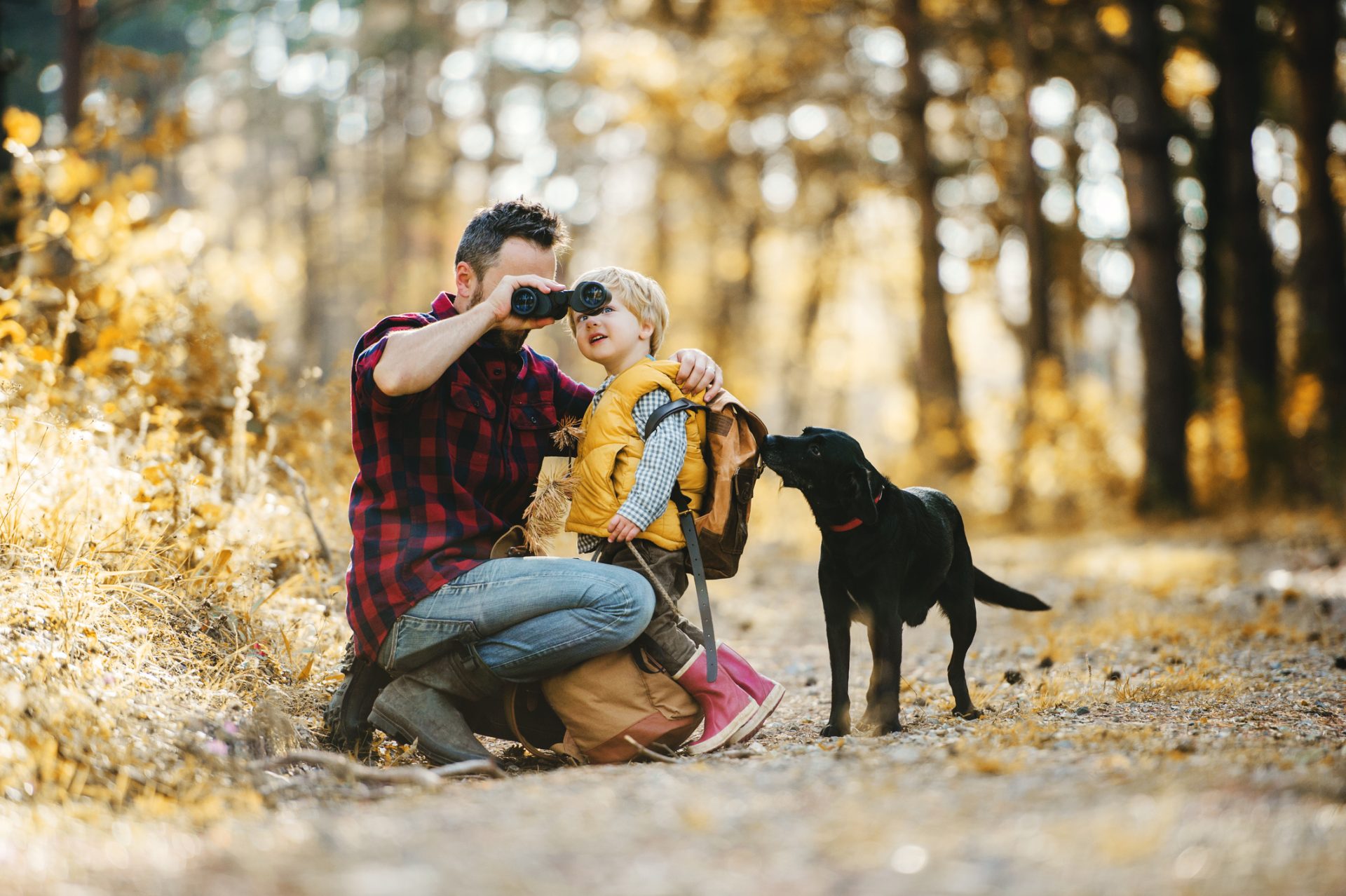 A mature father with a dog and a toddler son in an autumn forest, using binoculars.