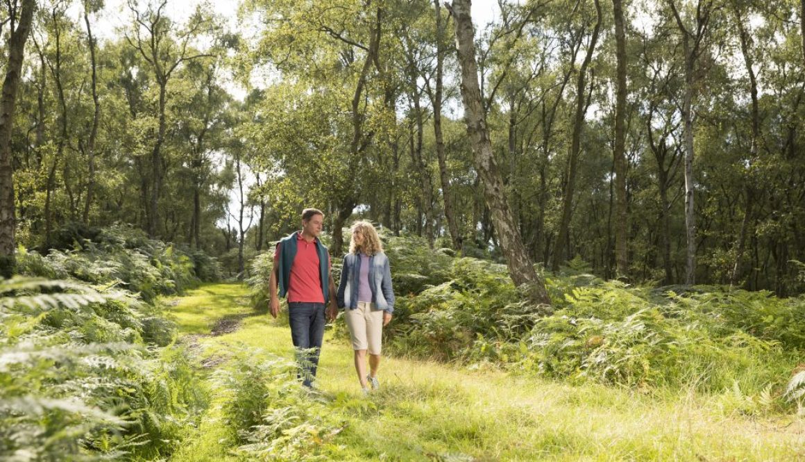 A couple enjoying a walk over Cannock Chase