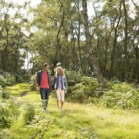 A couple enjoying a walk over Cannock Chase