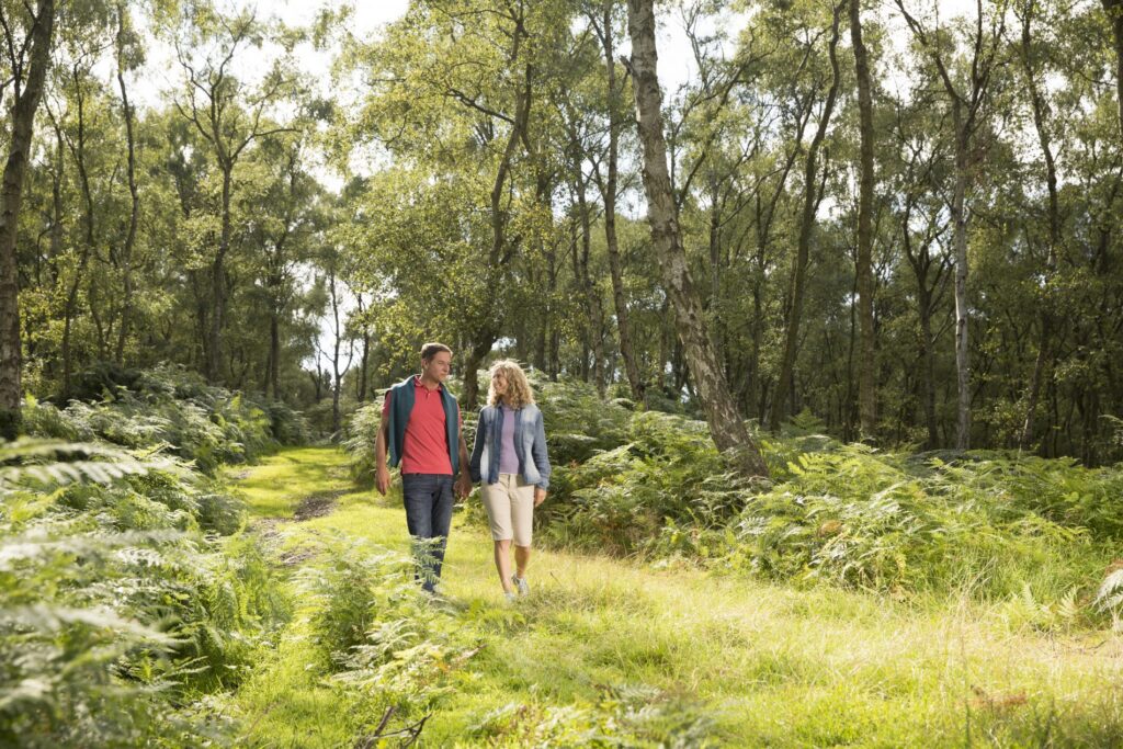 A couple enjoying a walk over Cannock Chase