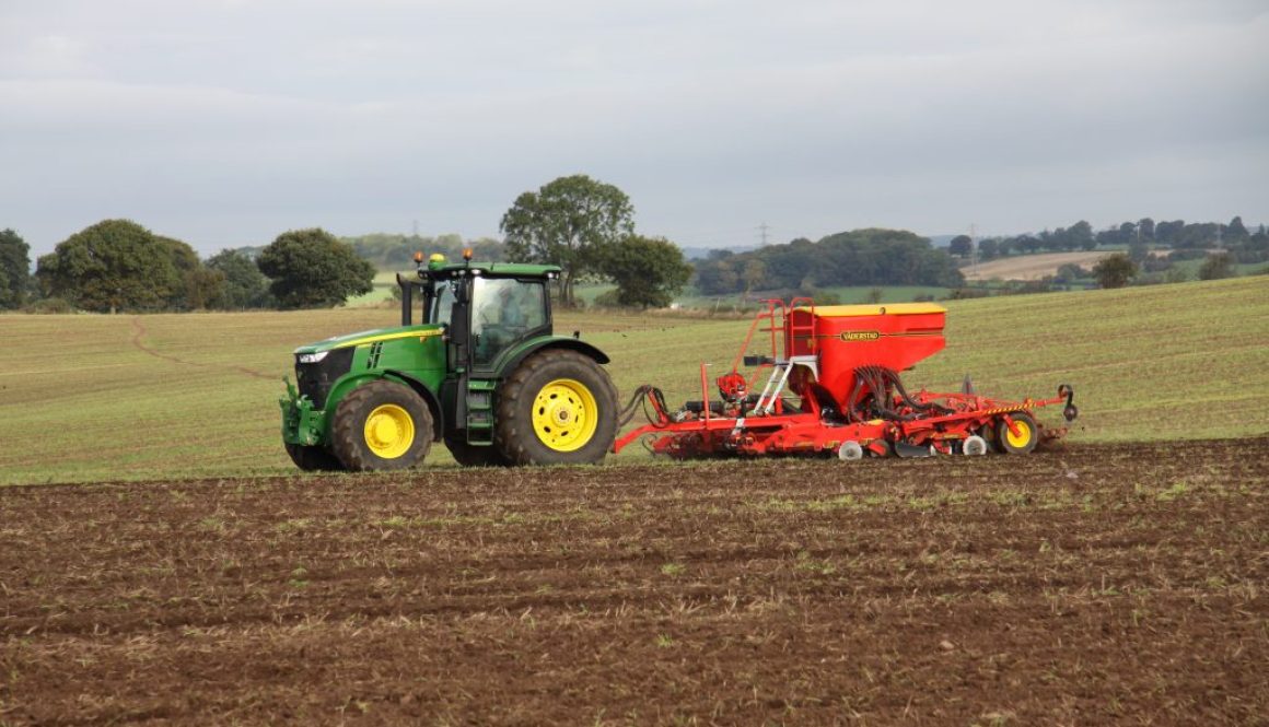 Farming in Wolsley