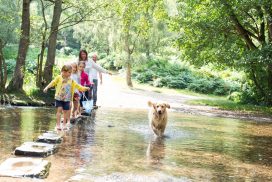 Family and a dog at the stepping stones