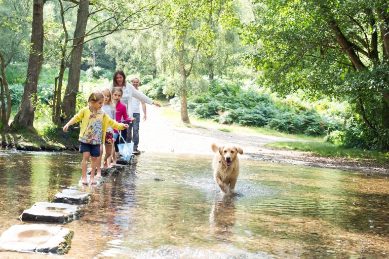 to Cannock Chase Cannock Chase