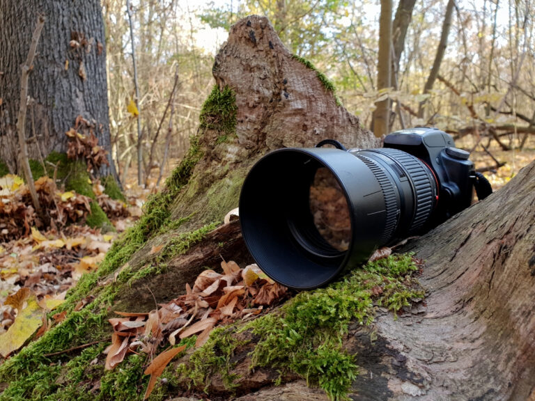 SLR camera