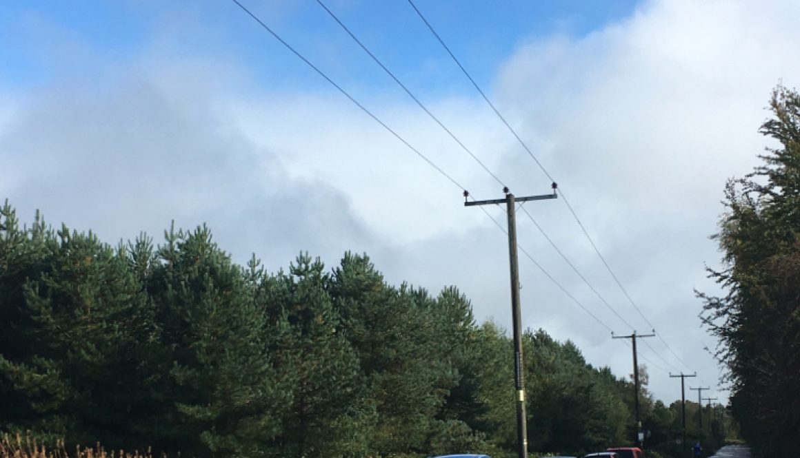 Powerlines at Marquis Drive