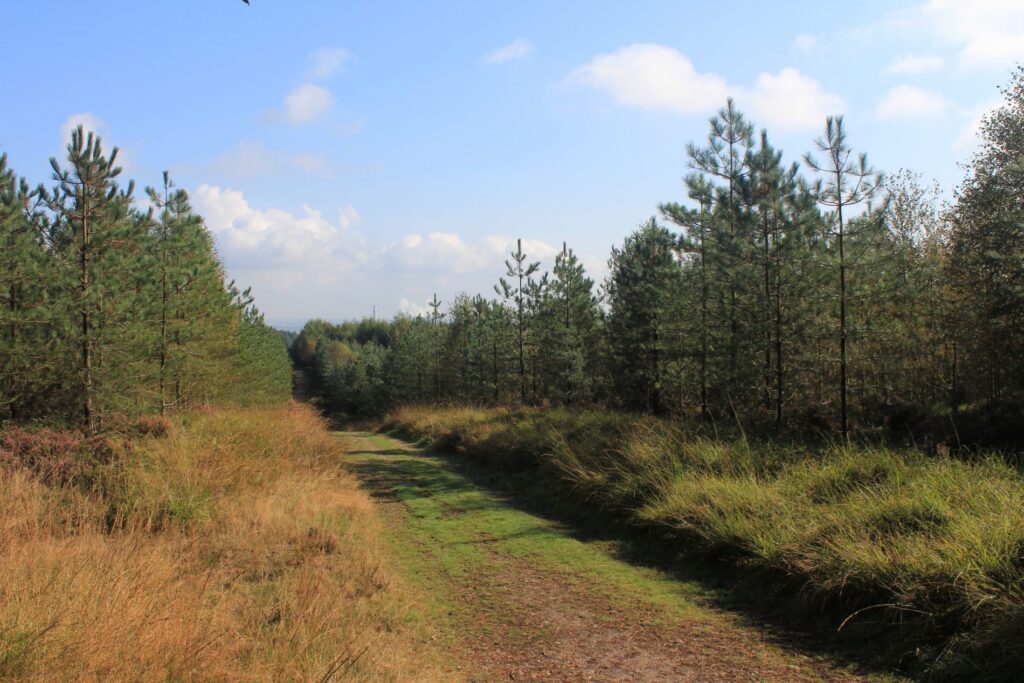 Fixed point 40 - 2014