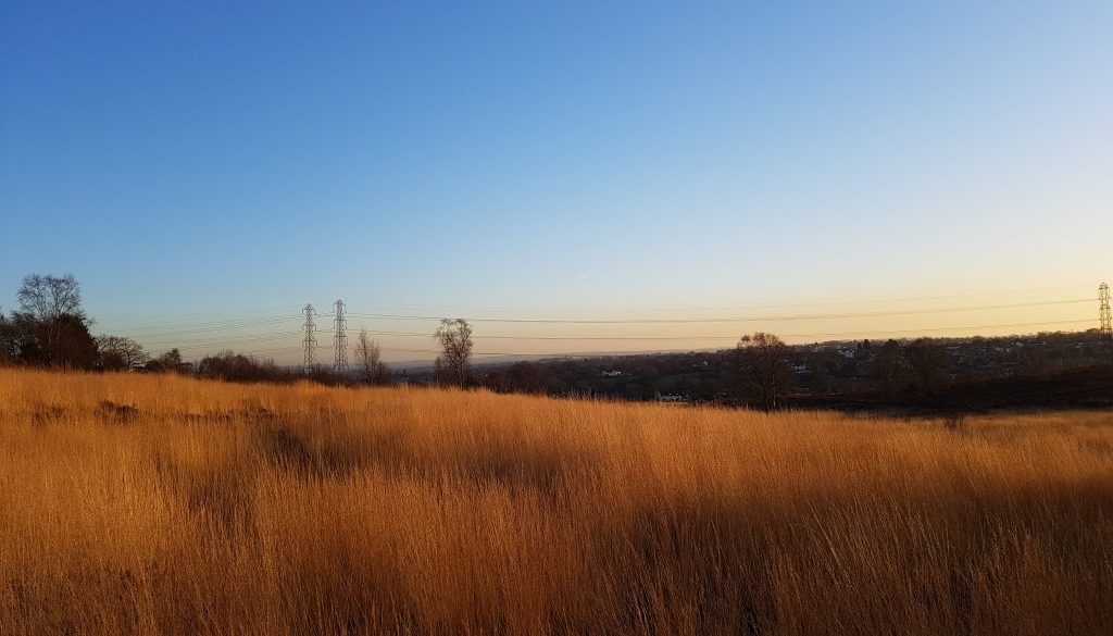 Gentleshaw Common