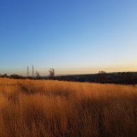 Gentleshaw Common