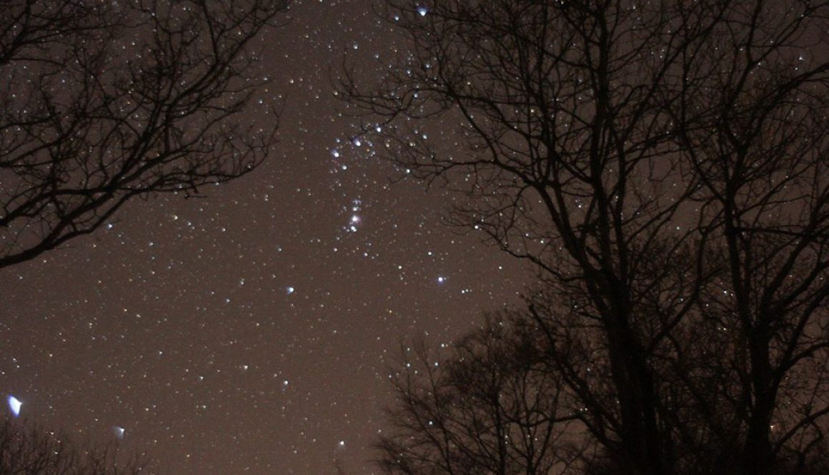Orion in the night sky