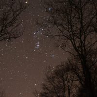 Orion in the night sky