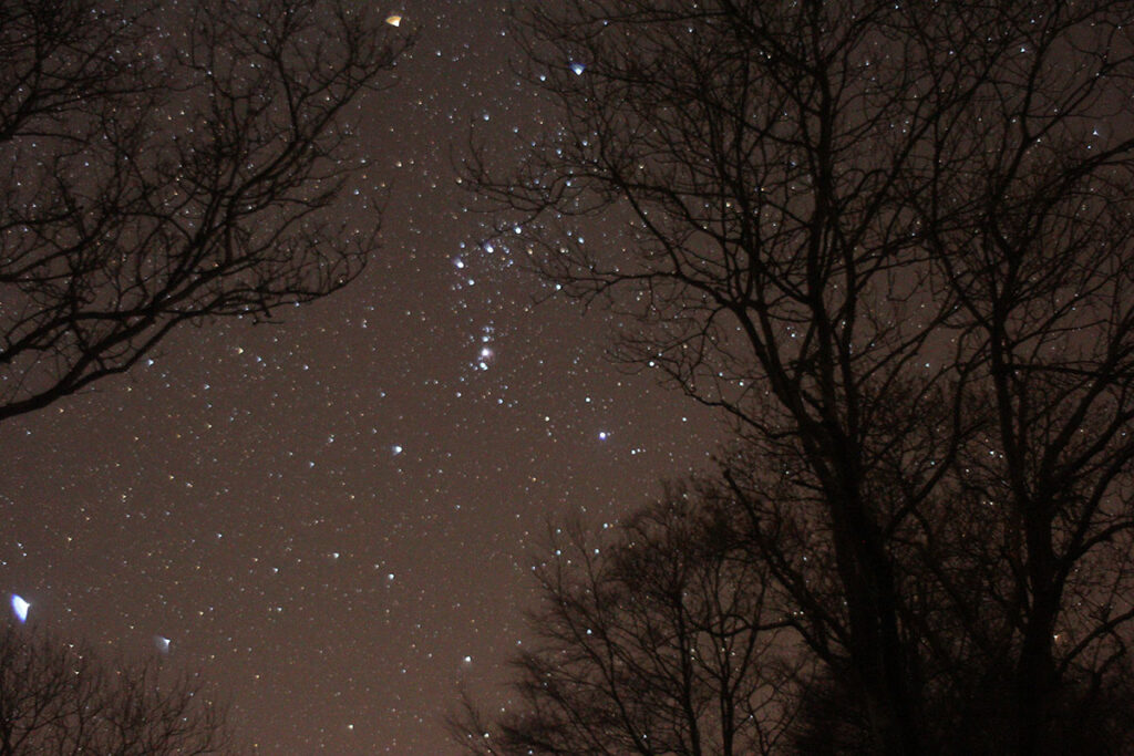Orion in the night sky