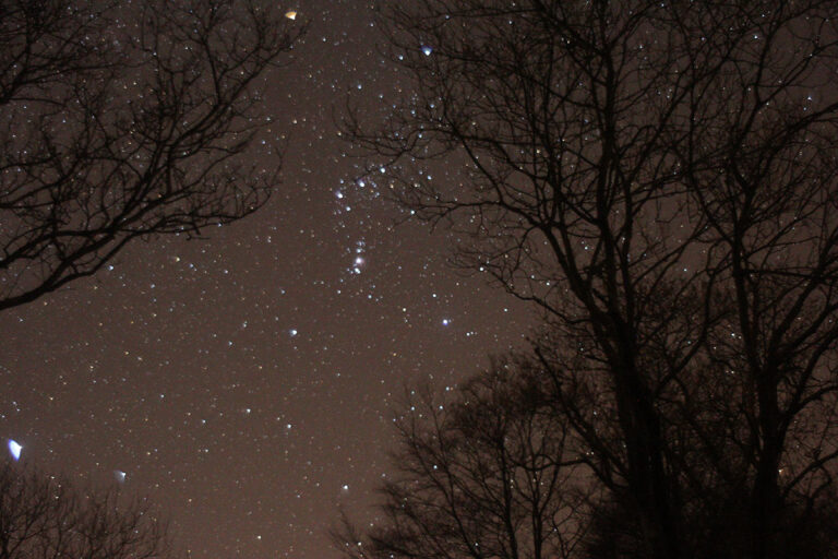 Orion in the night sky