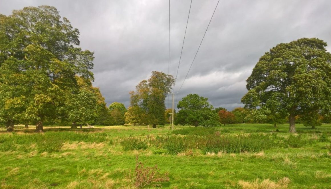 Shugborough overhead line