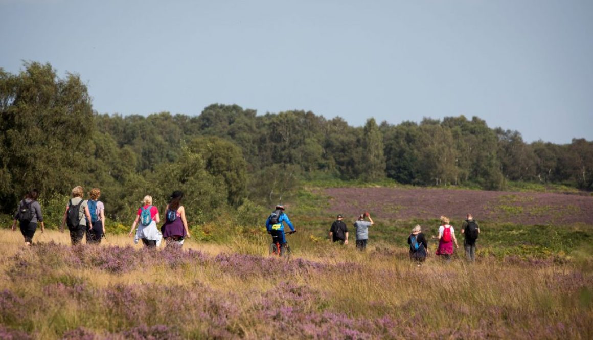 Walkers on Cannock Chase