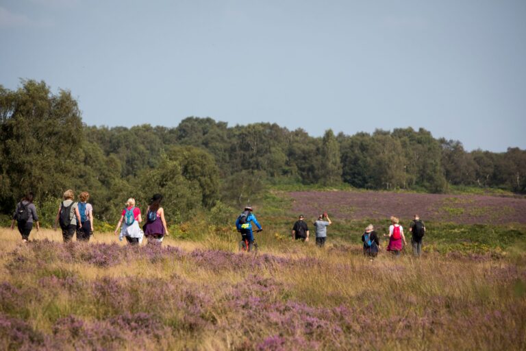 Walkers on Cannock Chase