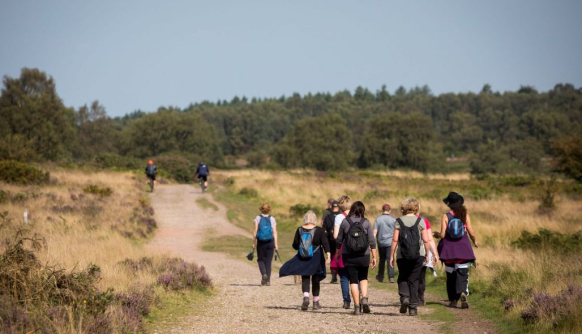 Visitors enjoying Cannock Chase_compressed