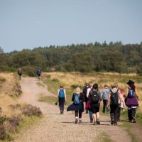 Visitors enjoying Cannock Chase_compressed