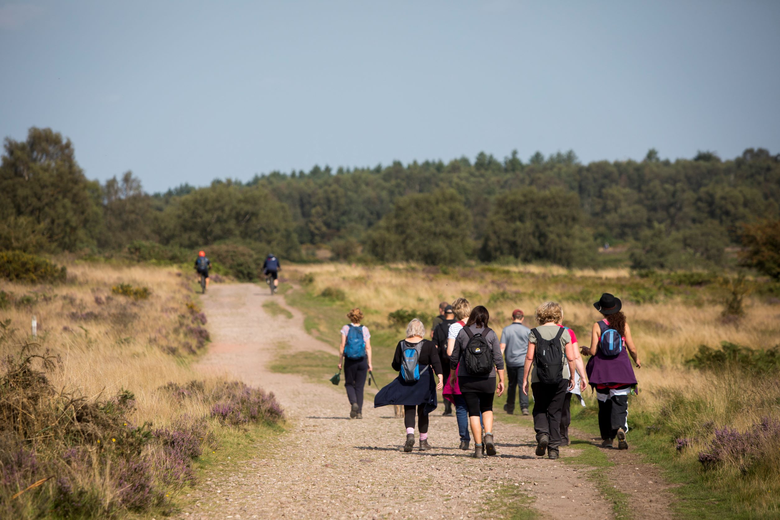 Cannock Chase AONB welcomes publication of the Government’s response to the Landscapes Review