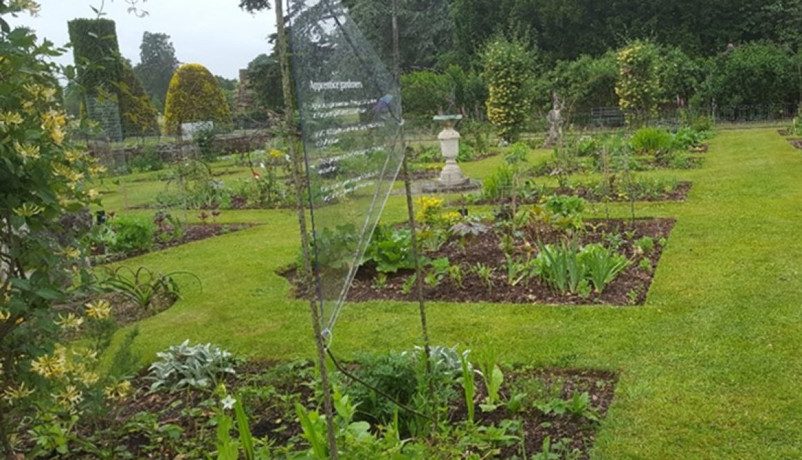 Orangery Garden project - National Trust