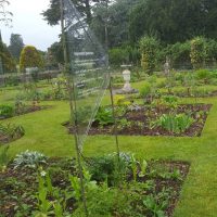 Orangery Garden project - National Trust