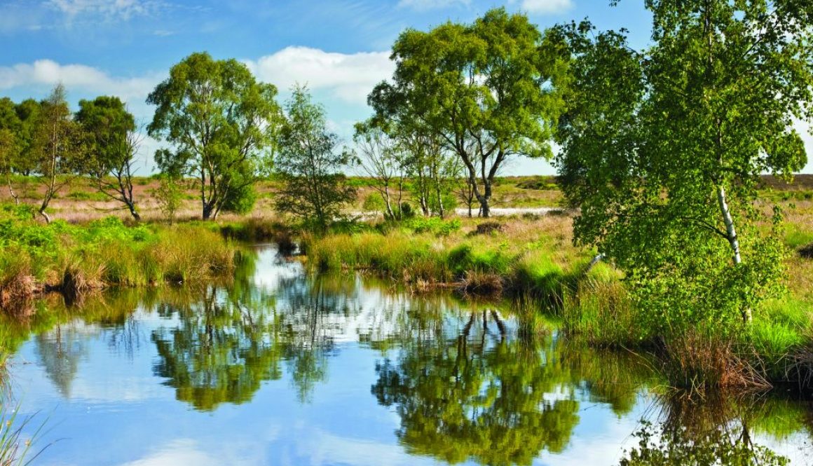 Rural Derbyshire