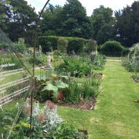 Orangery Garden Project, National Trust