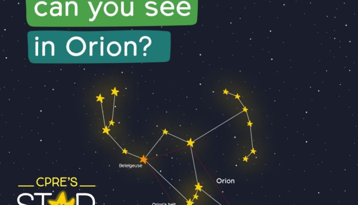 How many stars can you see in Orion