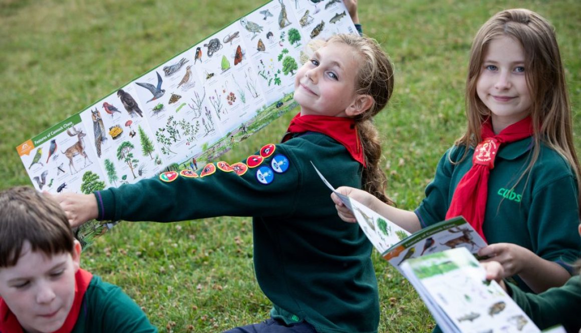 Cubs with FSC guide