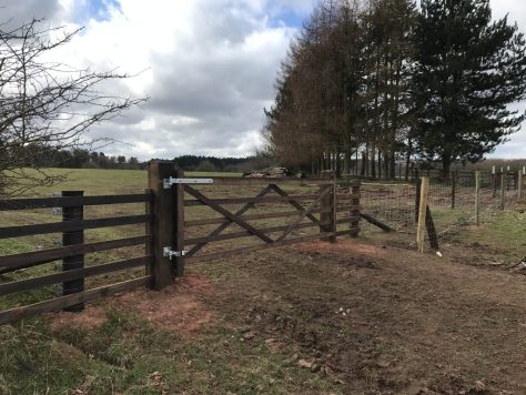 FiPL grant of £16872.82 over 2021-22 & 2022-23 Management and improvement of hedgerows through gapping, fencing and planting of hedgerow trees. Planting of new hedgerow to connect existing hedgerows. Installation of field gates to improve grazing management. Improvement of small mixed plantations by planting of native trees and shrubs. Establishment of an orchard, secured by post and rail fencing to protect browsing by deer. For more detailed information on this project, please see the Four Oaks farm case study