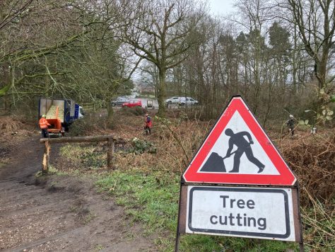 Castle Ring, Cannock Wood FiPL grant of £9,917.60 in 2022-23 Removal of invasive scrub across the Scheduled Ancient Monument to prevent deterioration of the structure.