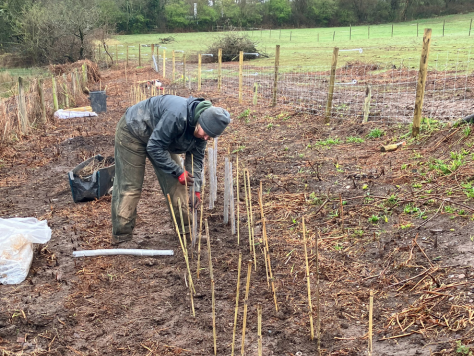 Brook Farm, Chorley FiPL grant of £19,133.85 in 2022-23 Planting of new hedgerows on old field boundaries to restore the landscape and create and connect habitats. Plant new hedgerow trees to restore the landscape and create habitats Protect Maple Brook from stock damage by installation of new fencing. Install water supply and trough to provide water to stock excluded from Maple Brook.