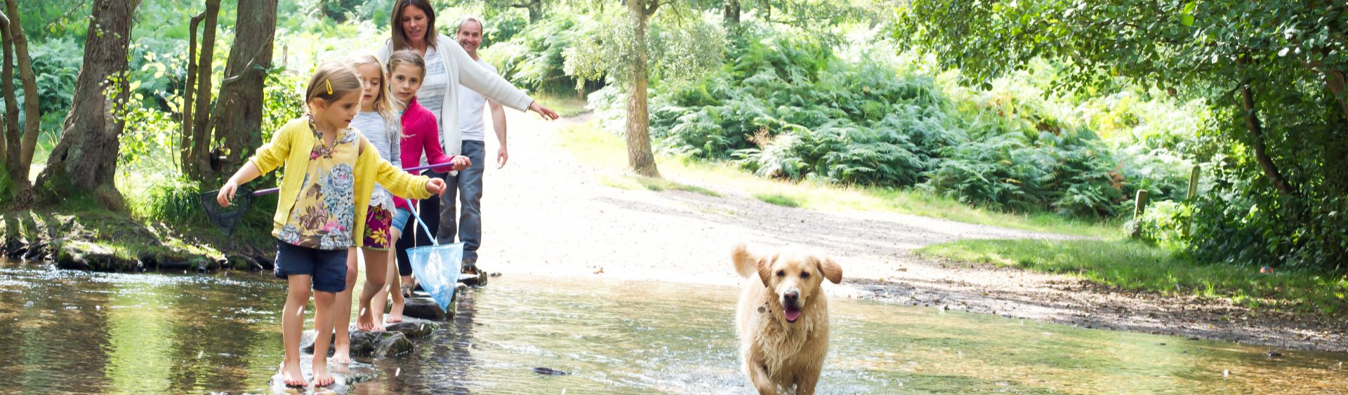 Family with dog at the stepping stones Family with dog at the stepping stones