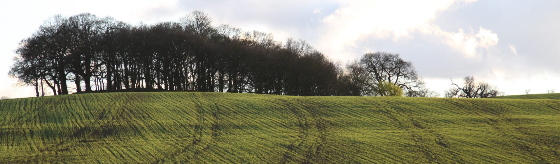 Landscape and planning Landscape and planning