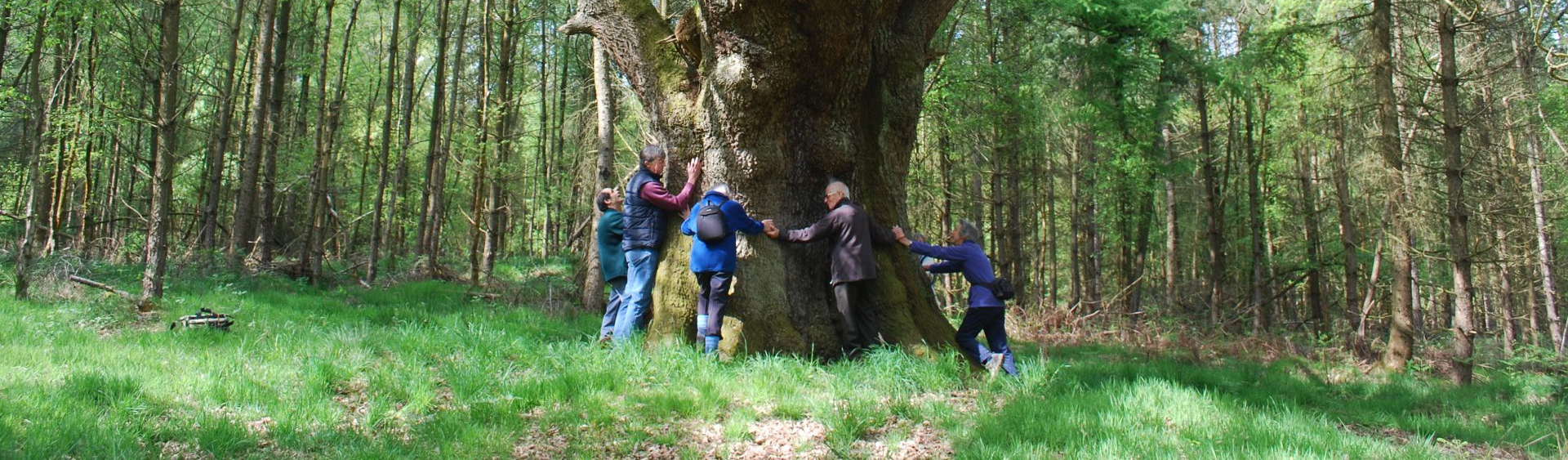 People hugging an old tree