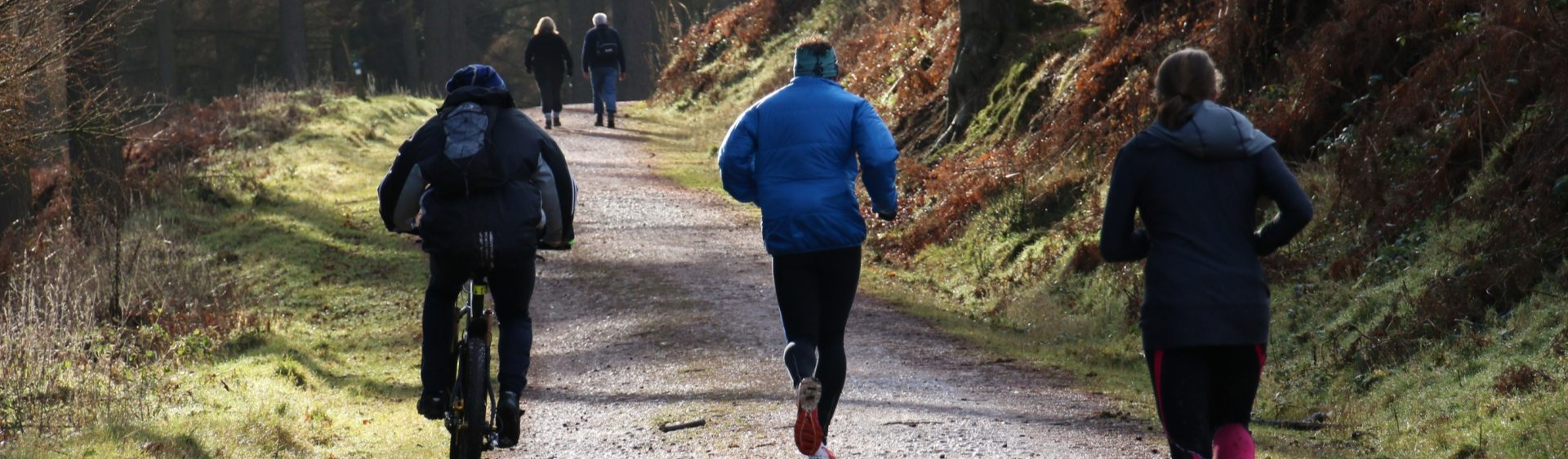 Runners, walkers and cyclist on Cannock Chase