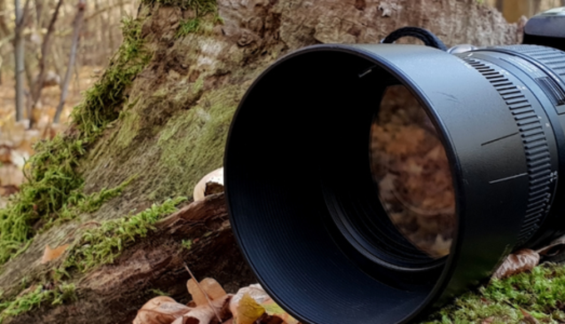 SLR camera