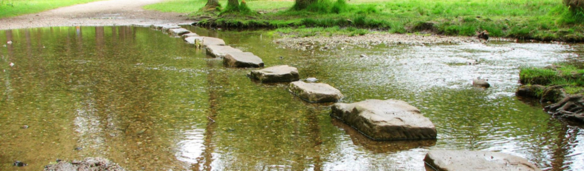Stepping stones over stream