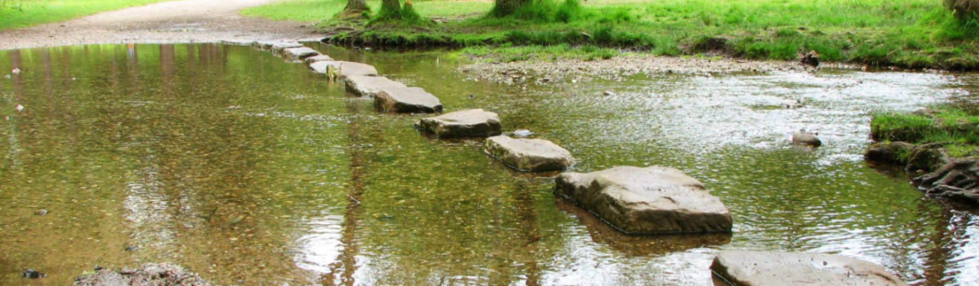 Stepping stones over stream Stepping stones over stream