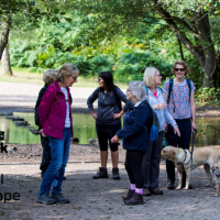 Header Walking ladies logo in diff position