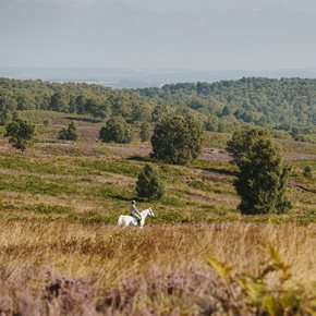 Horse riding
