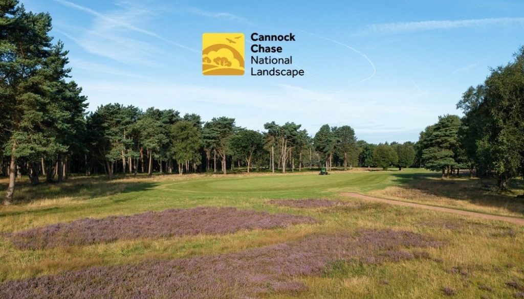 BDGC logo middle B CROP