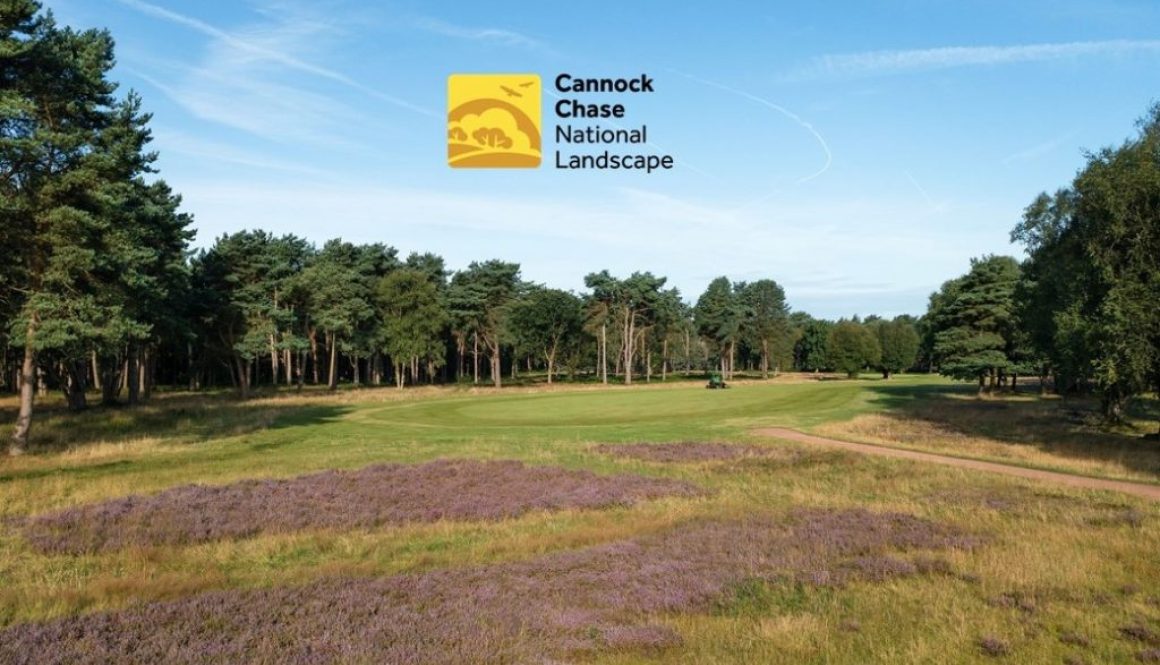 BDGC logo middle B CROP