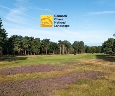 BDGC logo middle B CROP